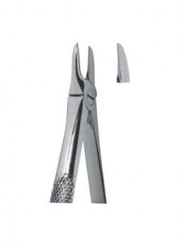 Extracting Forceps